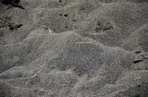 Zwart zand